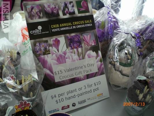 Resize of CIMG0566.JPG